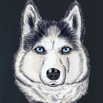 Husky hlava - kreslený