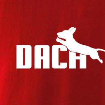 Jazvečík Dach Jazvečík Dach