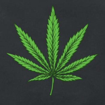 Zelený list Zelený list