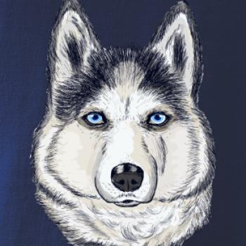 Husky hlava - kreslený