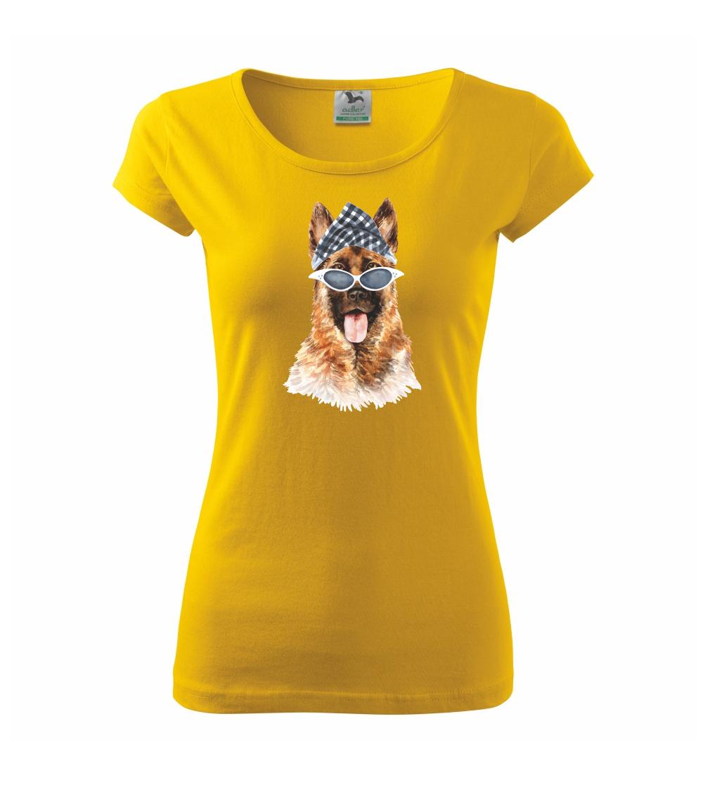 German shepherd so šatkou