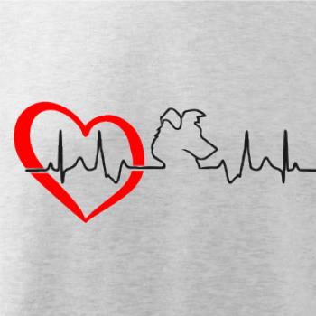 Borderská kólia EKG Borderská kólia EKG