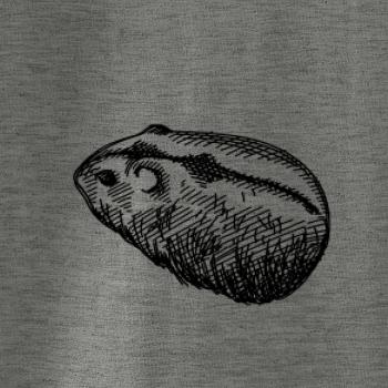 Ceruzkou kreslený Škrečok