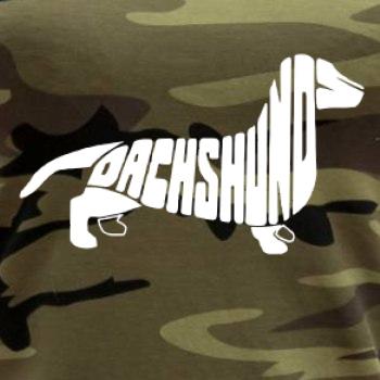 Jazvečík - Dachshund Jazvečík - Dachshund