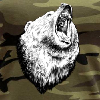 Medveď trošku naštvaný