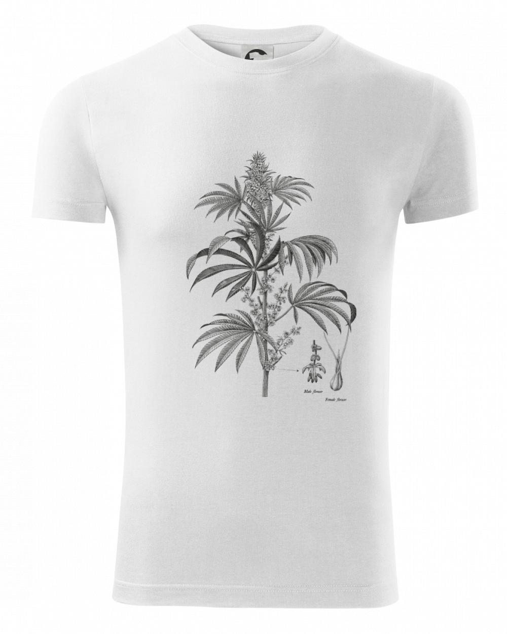 Konope kvietok čiernobiely   Konope kvietok čiernobiely