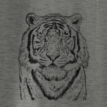 Tiger skica
