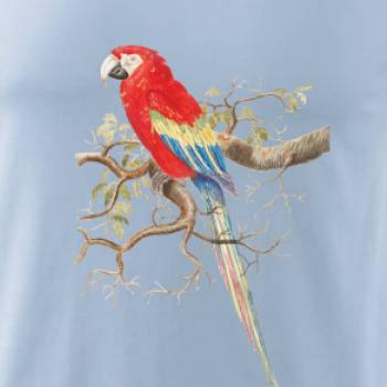 Papagáj  na listnatom strome Papagáj  na listnatom strome