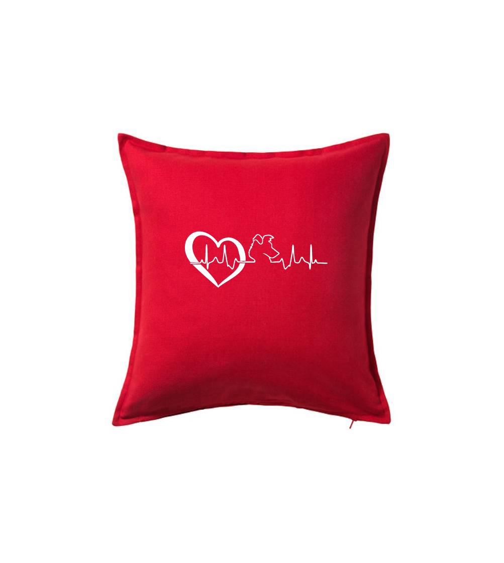 Borderská kólia EKG