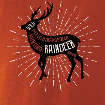 Deer raindeer