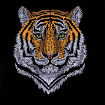 Tiger hlava