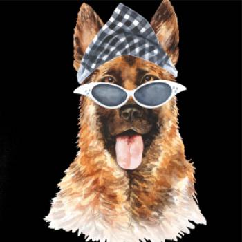 German shepherd so šatkou