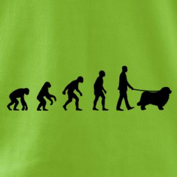 Evolúcia pes Novofundlandský pes (muž-žena)