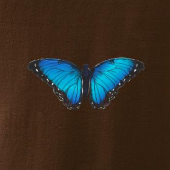 Motýľ Babôčka Morpho Peleides