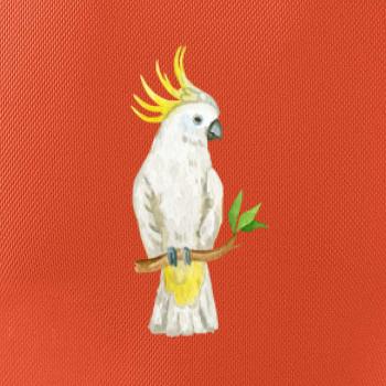 Papagáj Kakadu kreslený Papagáj Kakadu kreslený
