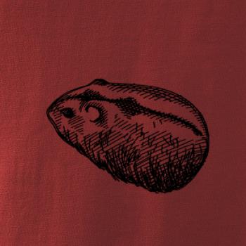 Ceruzkou kreslený Škrečok