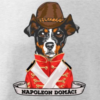 Napoleon domáci kríženec