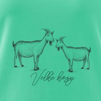 Velké kozy