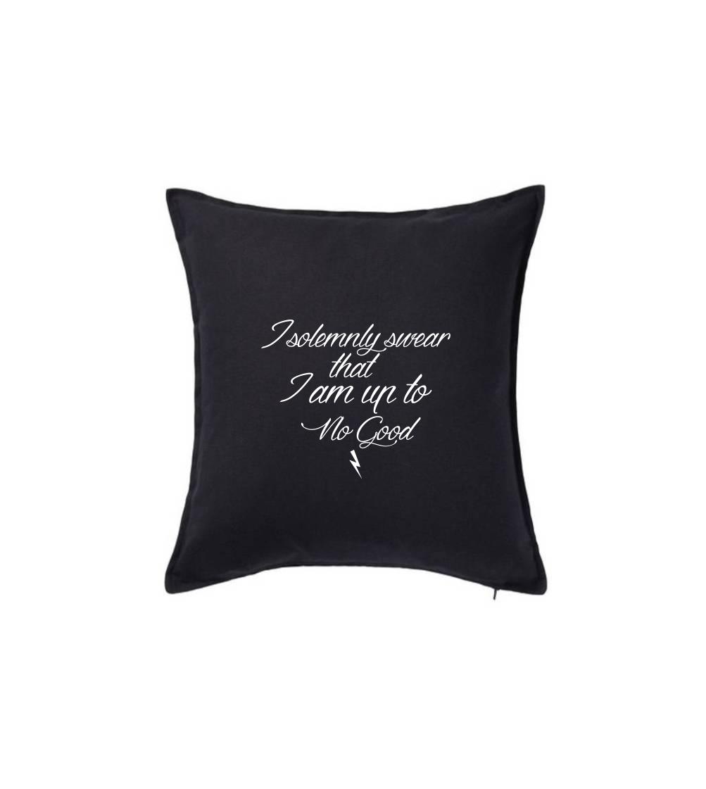 I solemnly swear that I'm up to no good