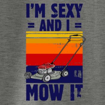 I'm sexy and i mow it I'm sexy and i mow it