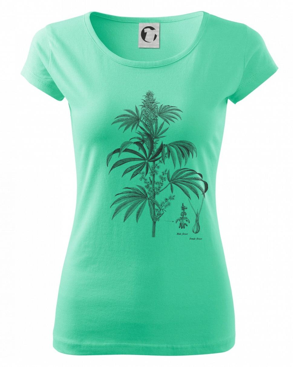 Konope kvietok čiernobiely   Konope kvietok čiernobiely