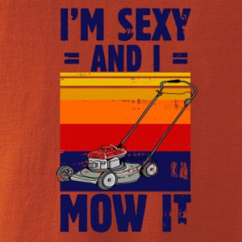 I'm sexy and i mow it