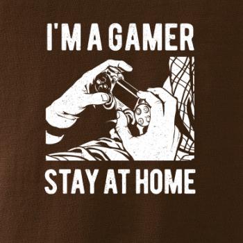 I'm A Gamer
