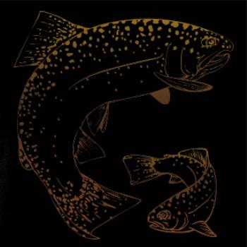 Pstruh dúhový guľatý