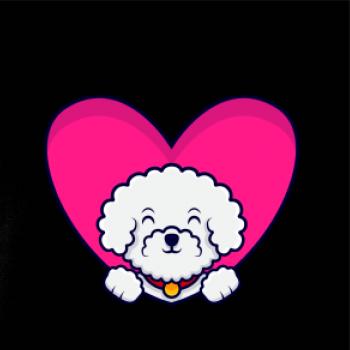 Bišónik zalezený v srdci