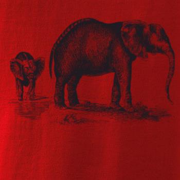 Slonica a sloníča kreslené