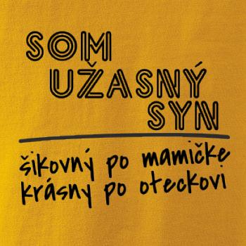 Som úžasný syn