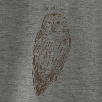 Sova pásikavá  Barred owl