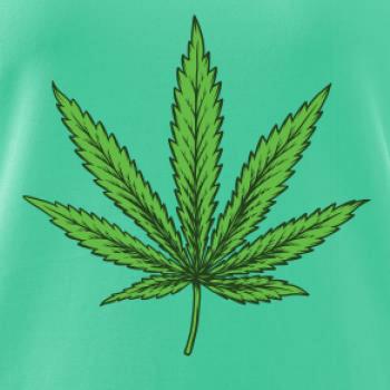 Zelený list Zelený list