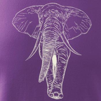 Slon vo farbe slonovej kosti