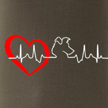 Borderská kólia EKG Borderská kólia EKG