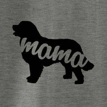 Bernský salašnícky pes mama obrys (SK)