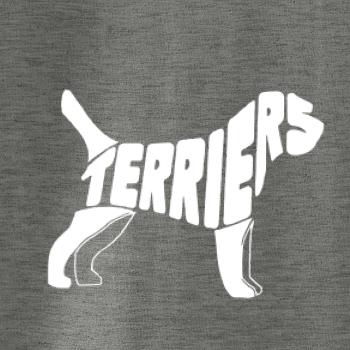 Terier