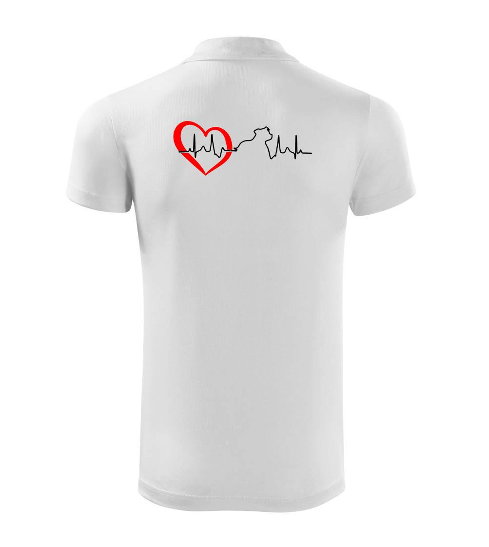 Stafordšírsky bulteriér  EKG Stafordšírsky bulteriér  EKG