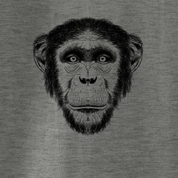 Opica kresba Opica kresba