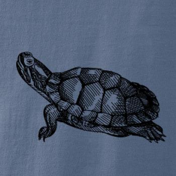 Ceruzkou kreslená korytnačka