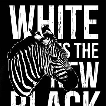 Zebra bw