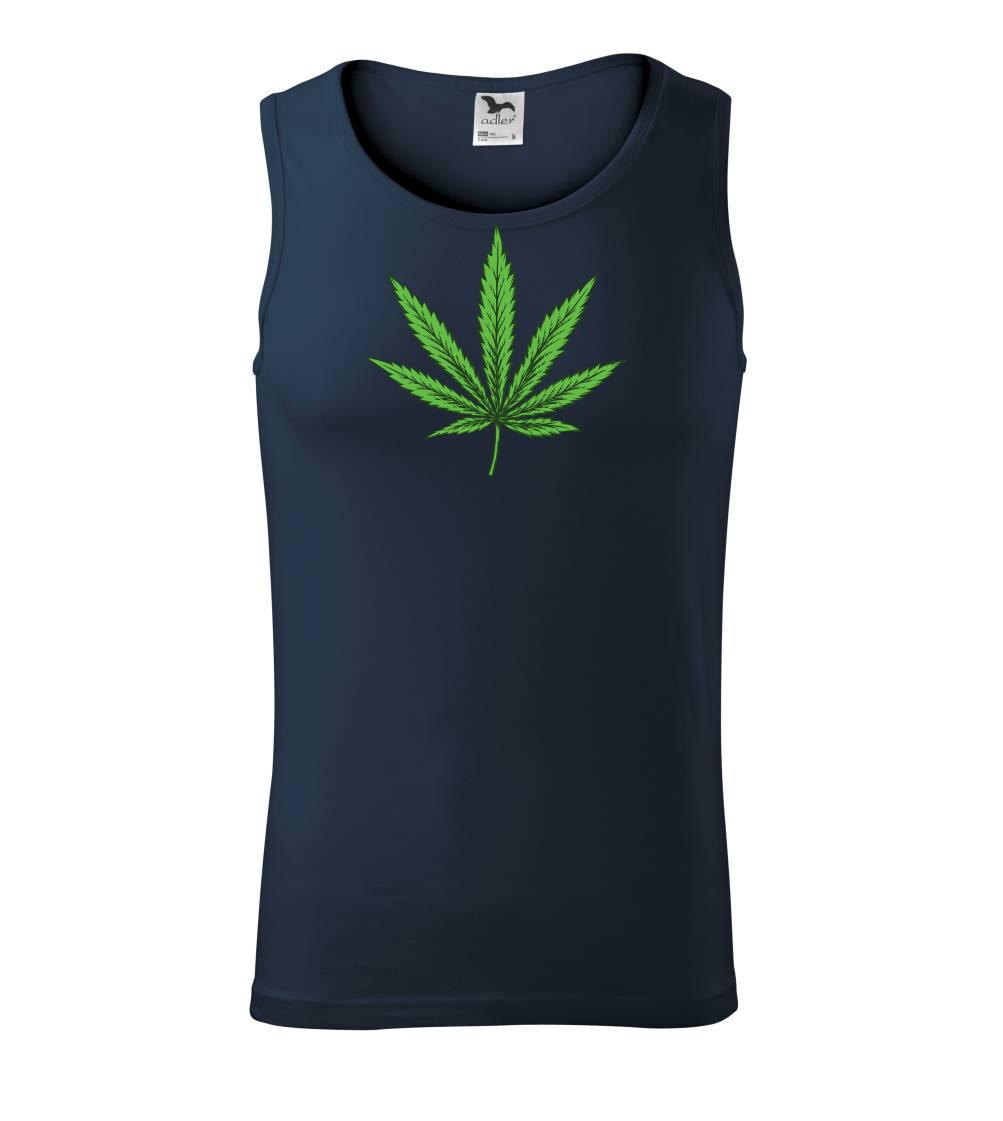 Zelený list Zelený list