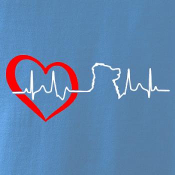 Bernský salašnický pes EKG