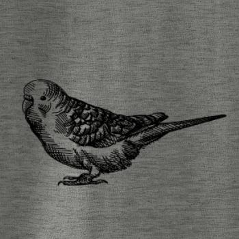 Ceruzkou kreslený Papagáj