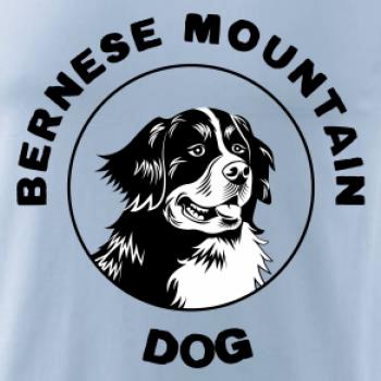 Bernese mountain dog v kruhu