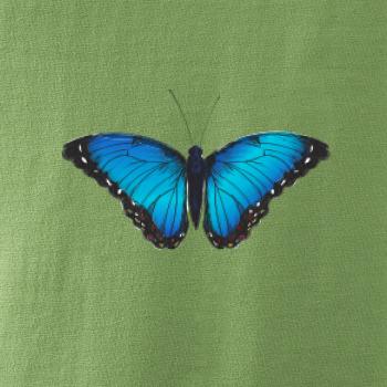 Motýľ Babôčka Morpho Peleides