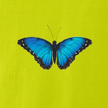 Motýľ Babôčka Morpho Peleides