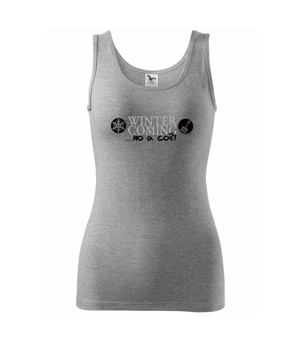 Winter Is Coming parodie