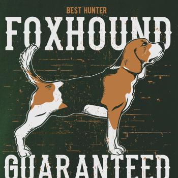 Dog foxhound