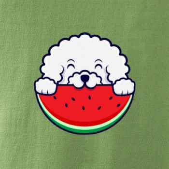 Bišónik s melónom